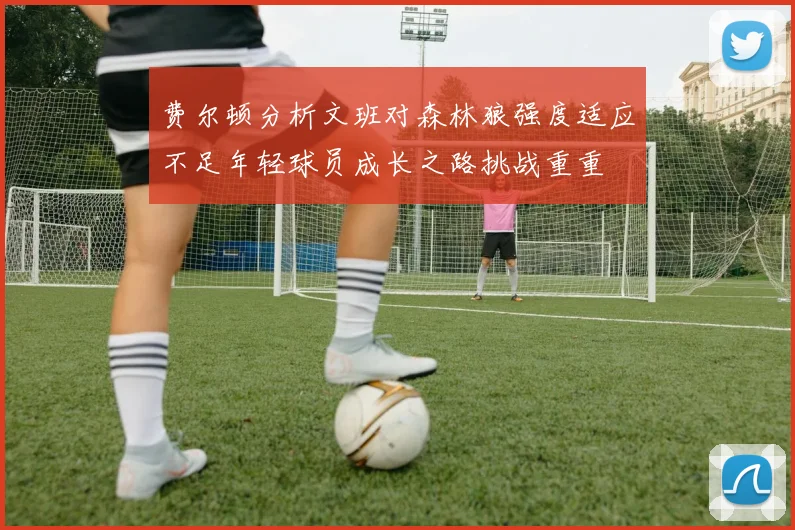 费尔顿分析文班对森林狼强度适应不足年轻球员成长之路挑战重重